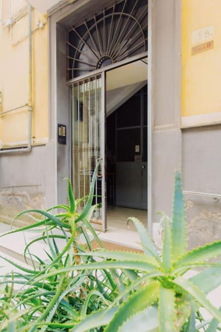 Mann House Napoli Apartment Exterior photo